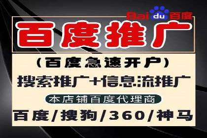 谷歌SEM广告投放的ROI优化：一家科技公司的成功经验